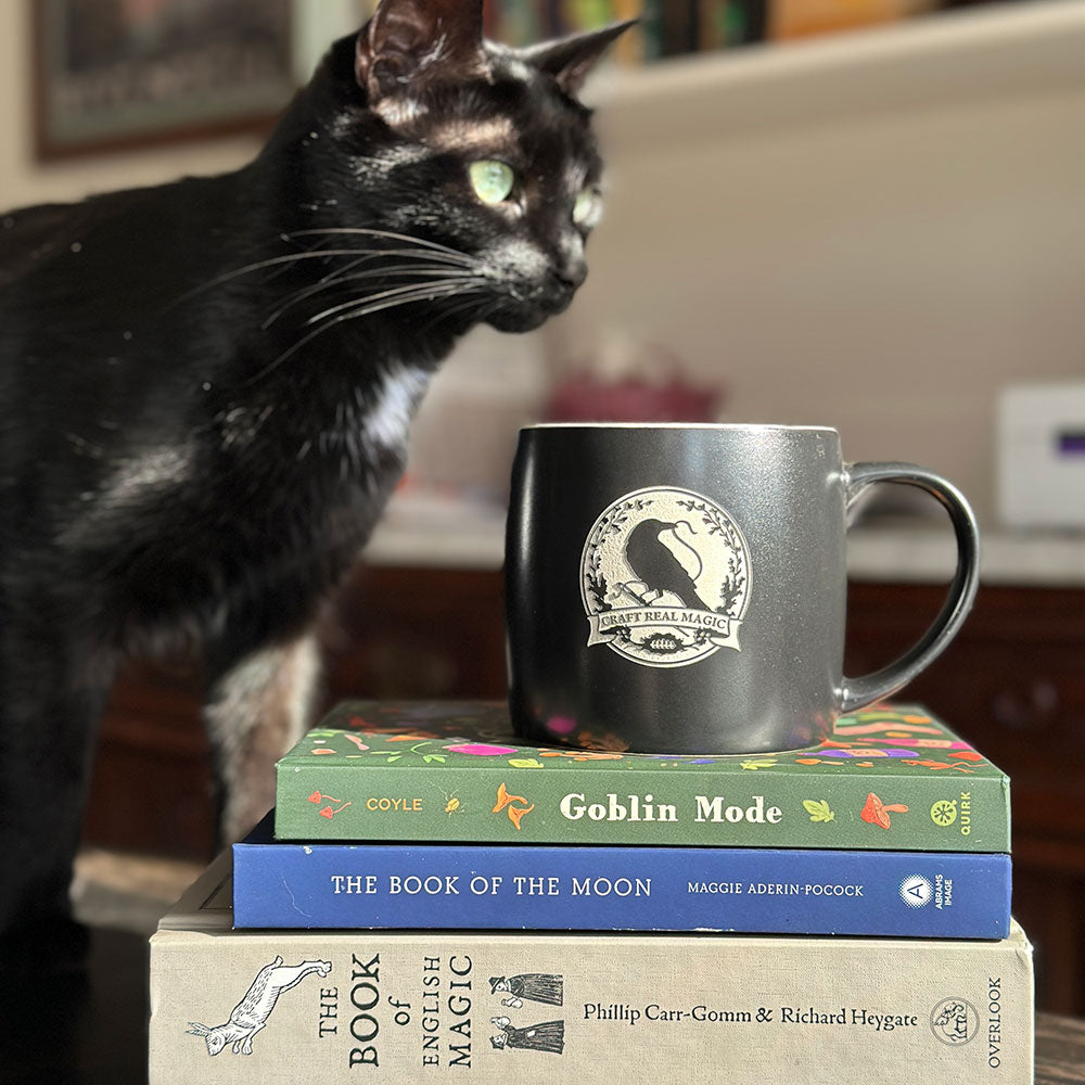 A black ceramic mug with a crow design displayed on a small stack of occult books near a black cat.